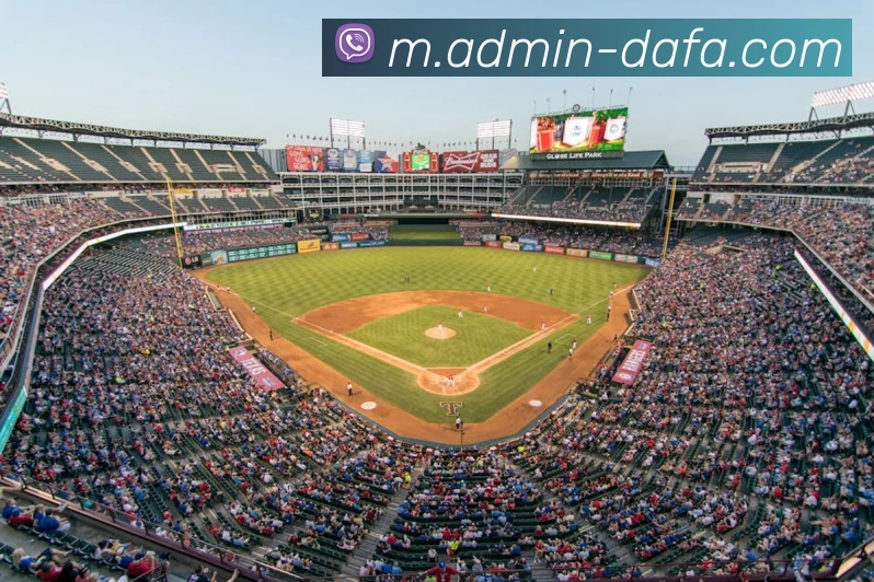 大发彩票品牌故事